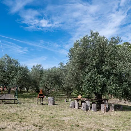Tuscia Holidays