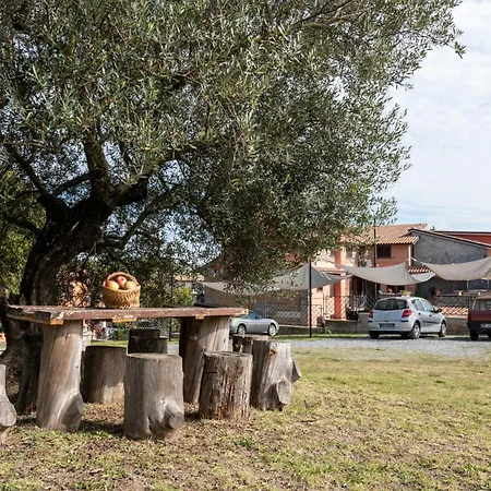 Tuscia Holidays Apartament Zepponami