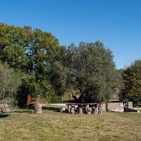 Tuscia Holidays *