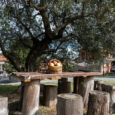 Tuscia Holidays *